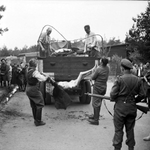 Former guards are made to load the bodies of dead prisoners onto a truck for burial, April 17–18, 1945