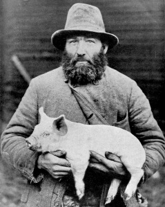 Swedish farmer holds pig, early 20th century